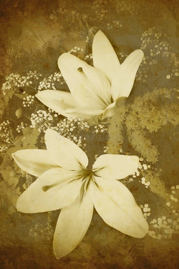 Old-styled flowers background