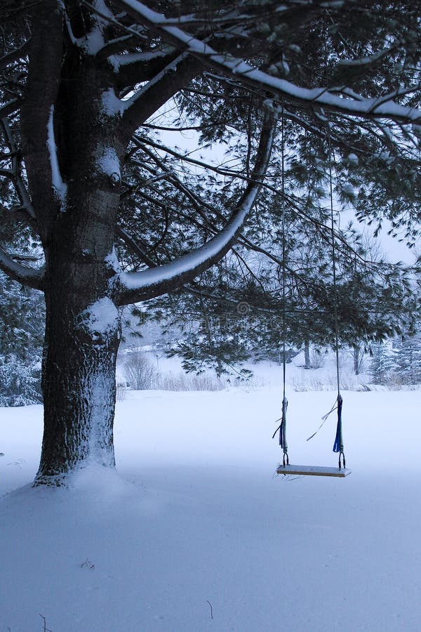 Old swing on fir tree in snow