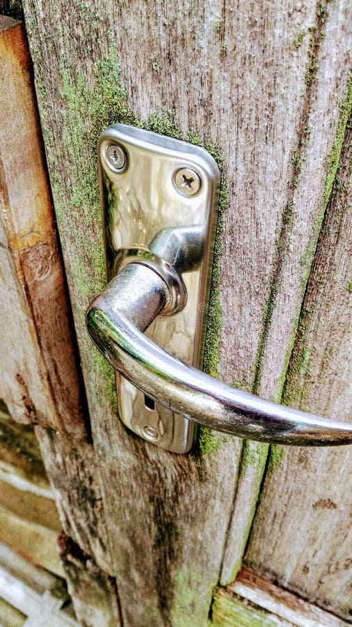 Old teak door stock photo. Image of lichen, humid, wood 97845740