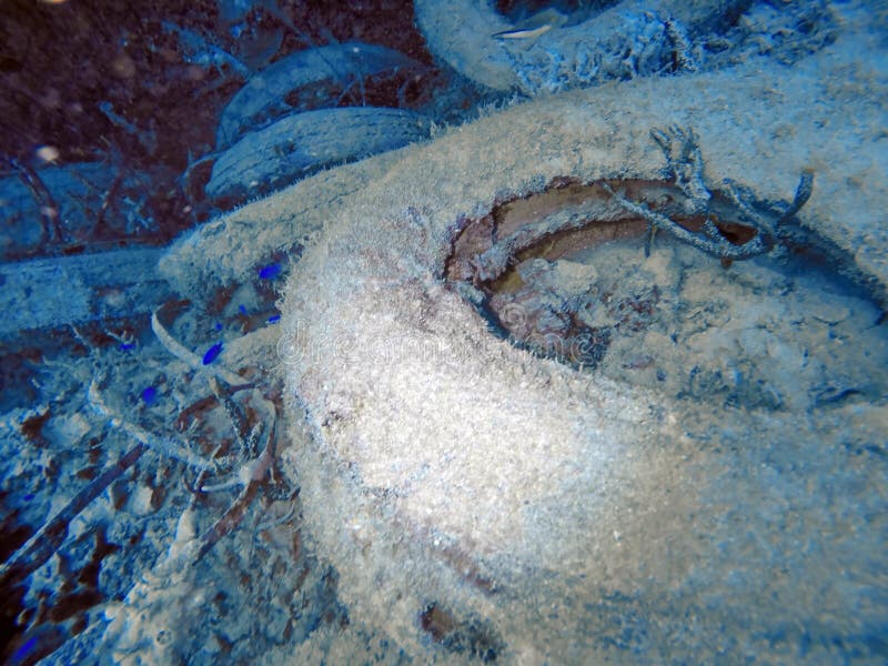 Old tires on the seafloor stock photo. Image of sand - 177989830