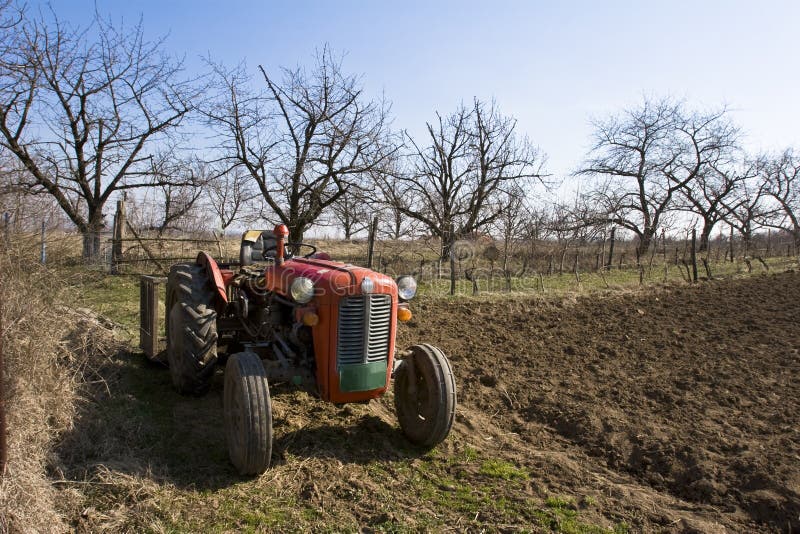 Starý červený traktor na pole.