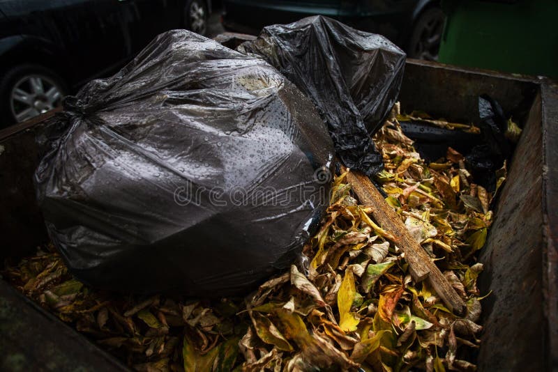 Plastic Trash Bag Caught Tree Stock Photo 1007497321