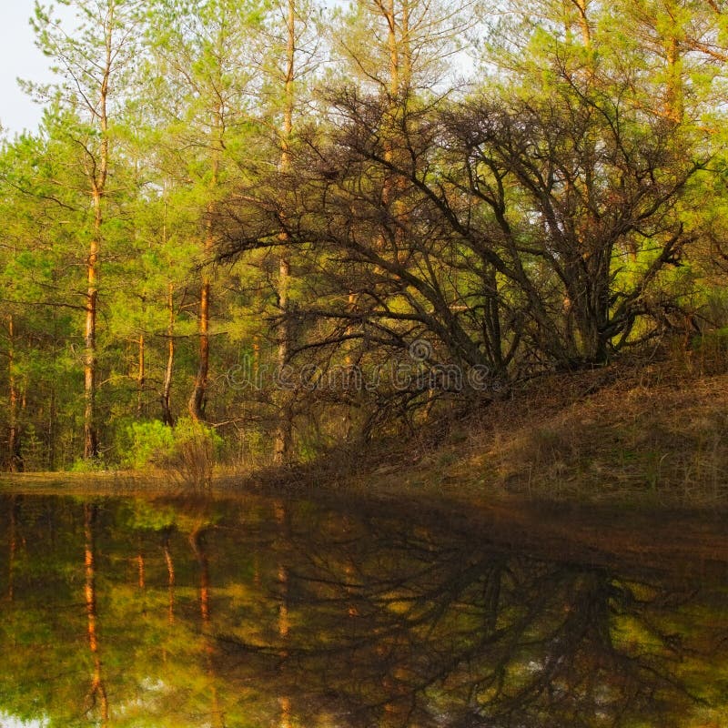 Lanscape stock photography