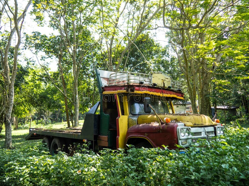 Old truck in the forest, A rusty pickup car wreck is abandoned in the agricultural fields stock photography Old truck in the forest, A rusty pickup car wreck is abandoned in the agricultural fields stock photography