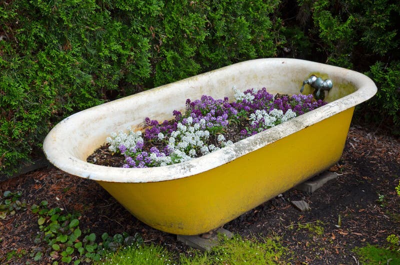 Old tub flower planter