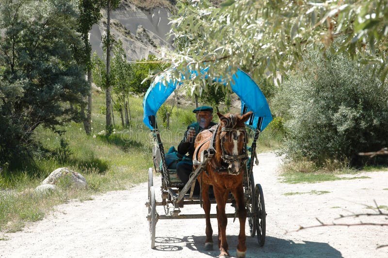 An elderly Turkish farmer driving a horse and buggy in the hinterland. An elderly Turkish farmer driving a horse and buggy in the hinterland