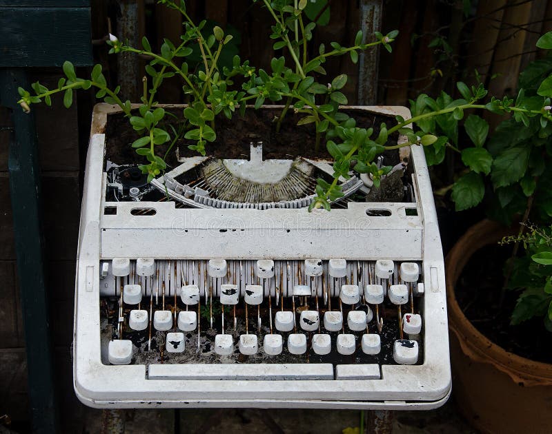 Vintage Typewriter — Wild Poppy