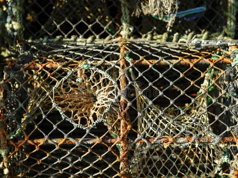 7+ Thousand Crab Traps Royalty-Free Images, Stock Photos & Pictures