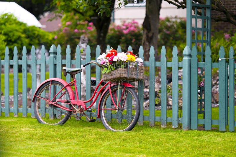 Old vintage bicycle with basket of flowers in baggage