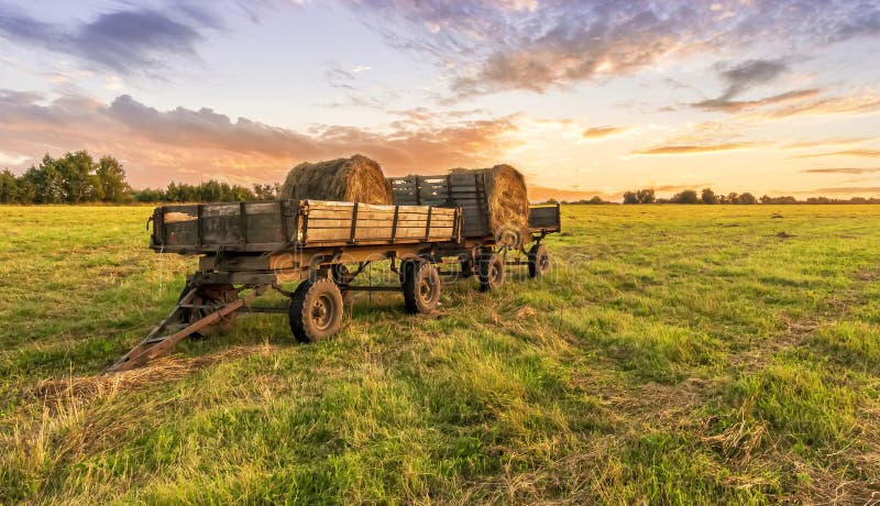Old vintage carriage with hay stacks in green shiny field with beautiful sunset , hay cart in country valley during sunrise