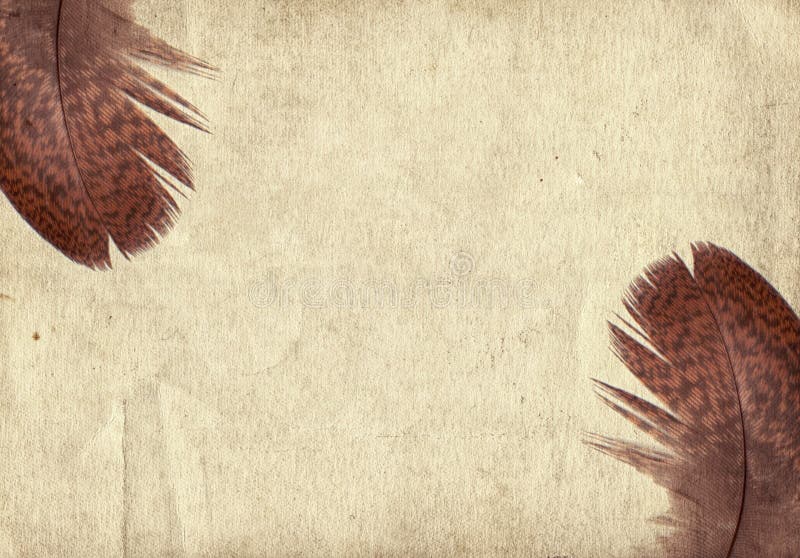 Old vintage paper texture background with feather