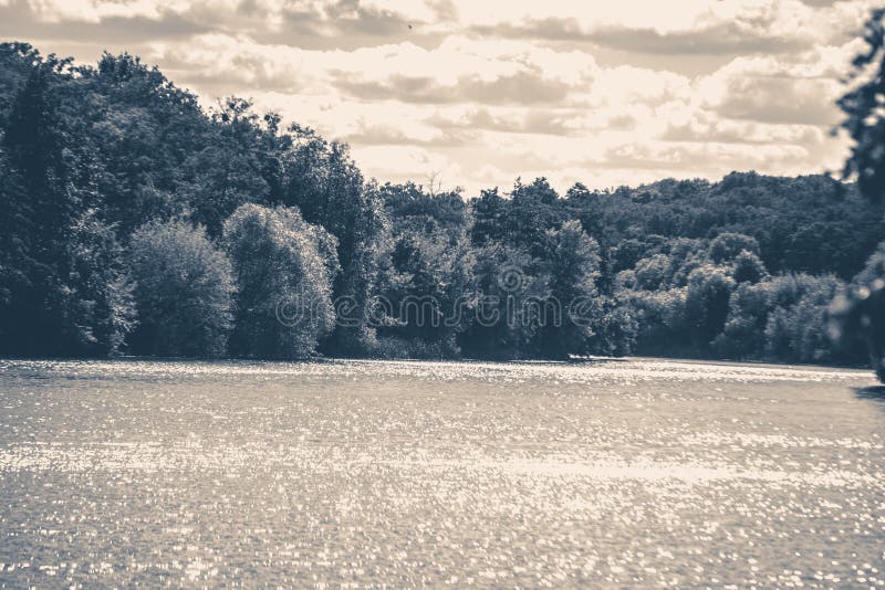 Old vintage photo. River sun glare shore trees forest