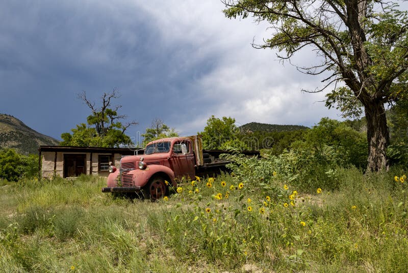 Old Vintage Truck, Field, Landscape