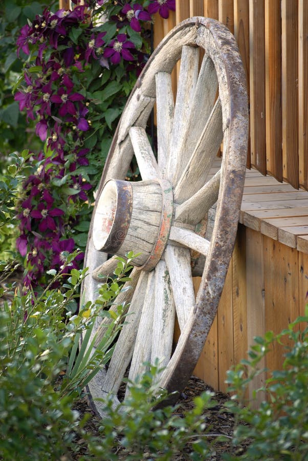 Old Wagon Wheel and Fence in Flower Garden for Decoration royalty free stock photo Old Wagon Wheel and Fence in Flower Garden for Decoration royalty free stock photo