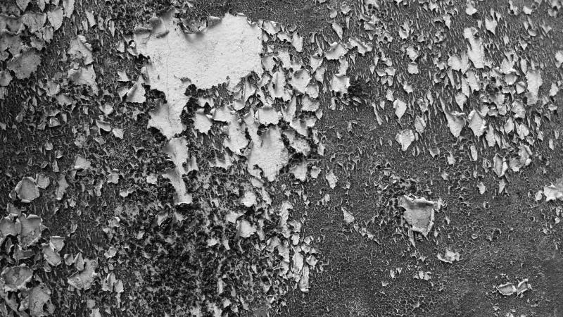 Old wall texture with grayscale soft colour background. The background of the wall paint on the walls of the house which is affected by weather conditions, causing damage and peeling of the beautiful wall paint texture. Retro grayscale paint stock images, royalty-free photos and pictures
