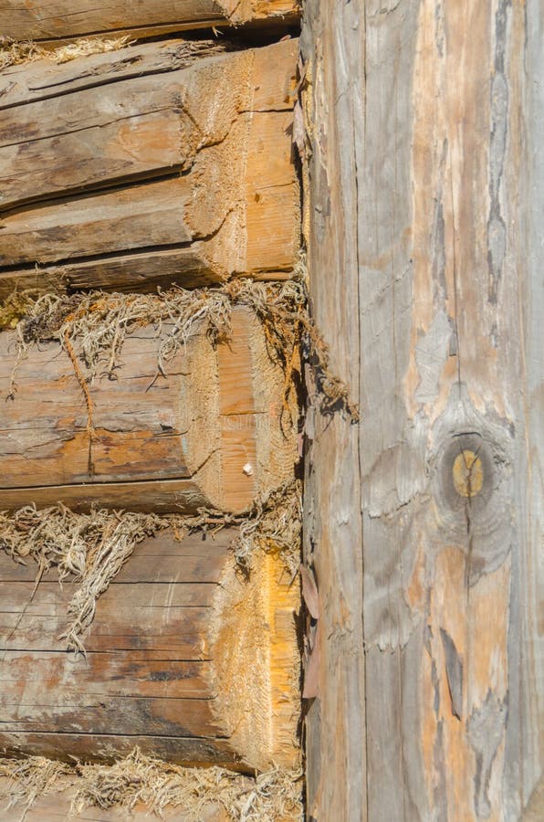 The old walls of the barn in the gap scored moss, insulation royalty free stock photography