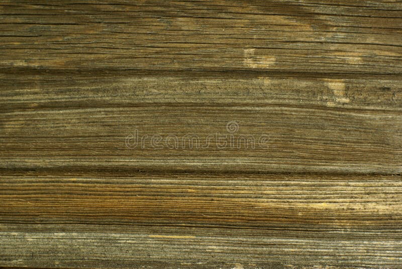 Old weathered wood.