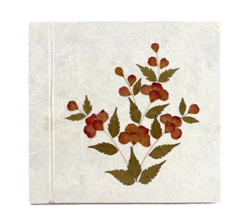 Old white Mulberry paper book