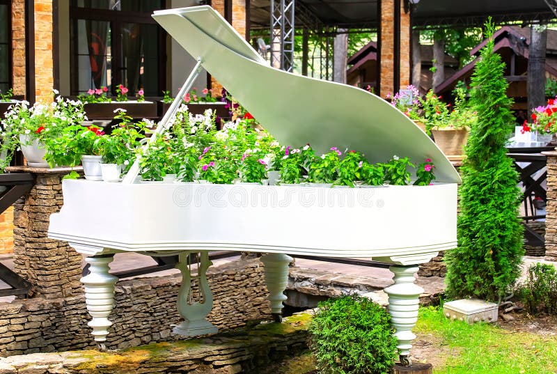 Old White Piano Converted into a Flowerbed with Different Flowers ...