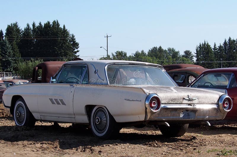 Old white thunderbird at an automobile graveyard. Old thunderbird stock images, royalty-free photos and pictures