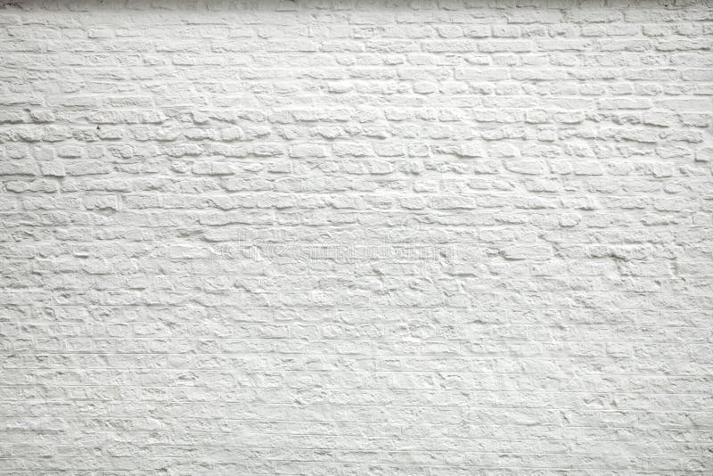 500 White Wall Pictures HD  Download Free Images on Unsplash