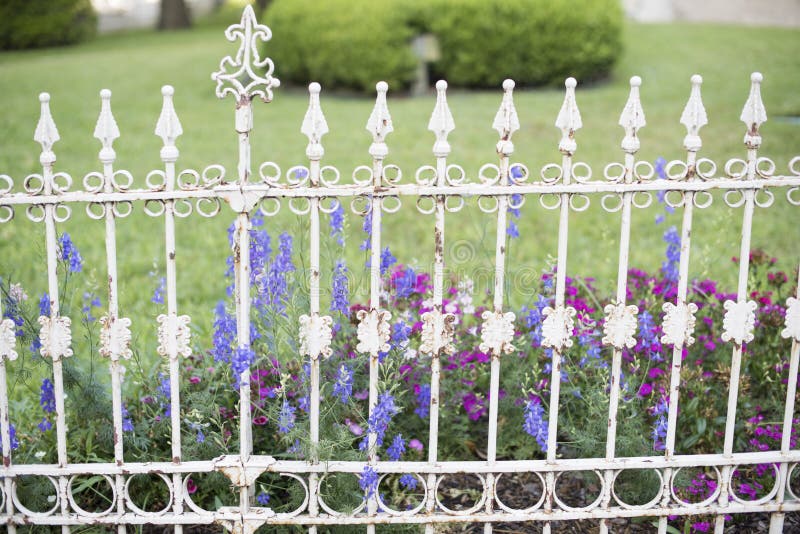 Old White Wrought Iron Fence Stock Photo Image of ornamental, vintage