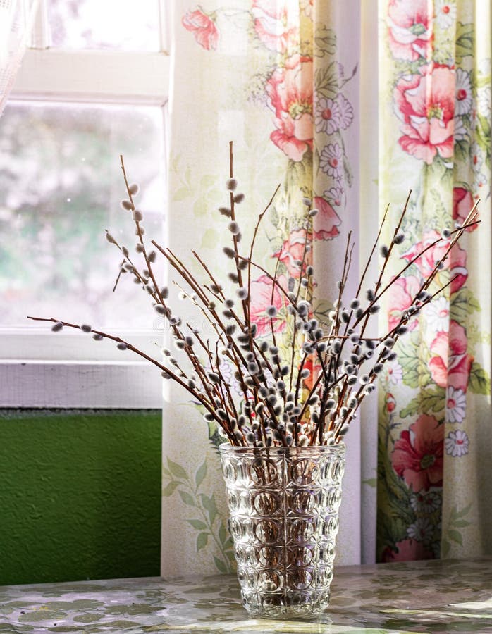 Old Willow Branches are in a Vase on the Window Stock Image Image of