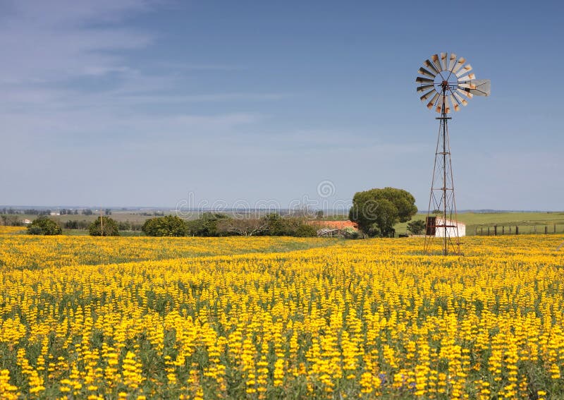 Old windmill