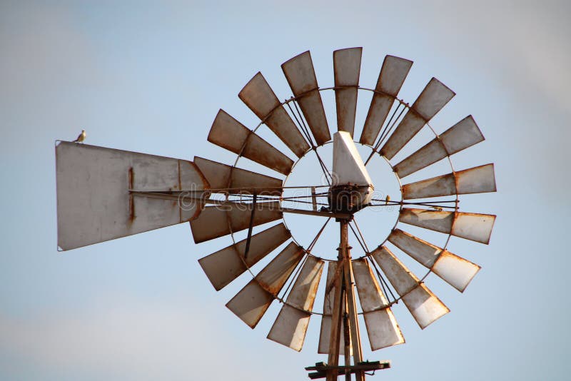 Old windmill with little bird