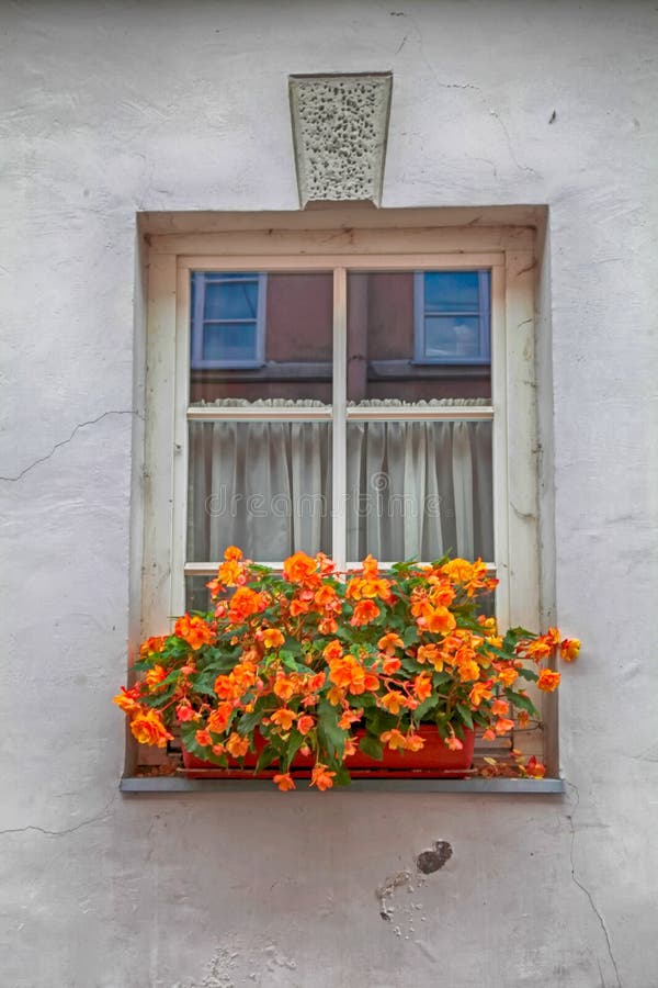 Window Flower Box stock photo. Image of decorative, brick 1194400