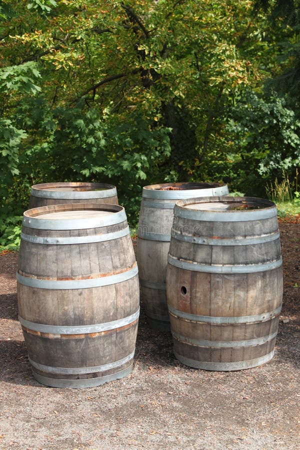 Old wine barrels stock photography
