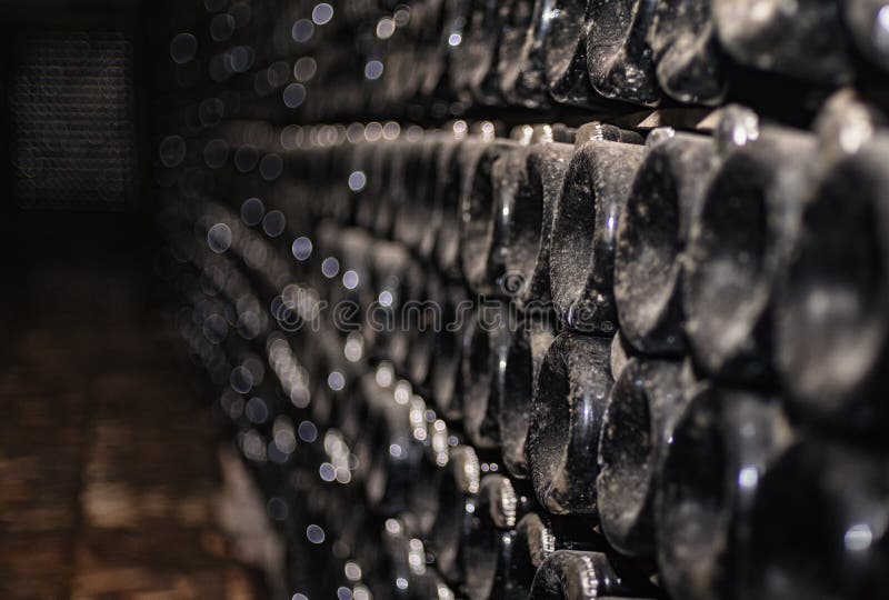 Old Wine Cellar with a Group of Wine Bottles Stock Image Image of