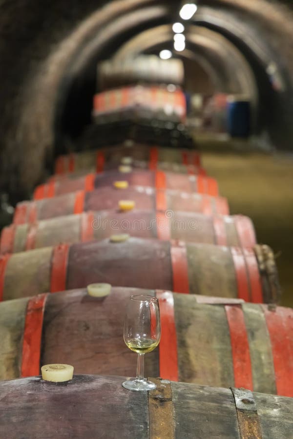 Old Wine Cellar in Pecs, Hungary Stock Photo Image of winemaking