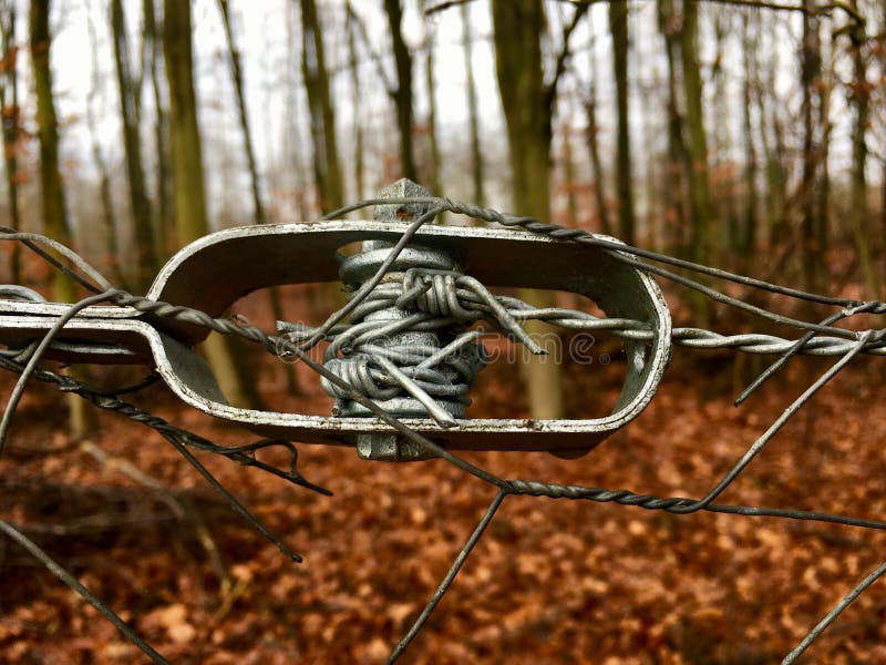 Fence Wire Tightener Photograph by Gustoimages/science Photo