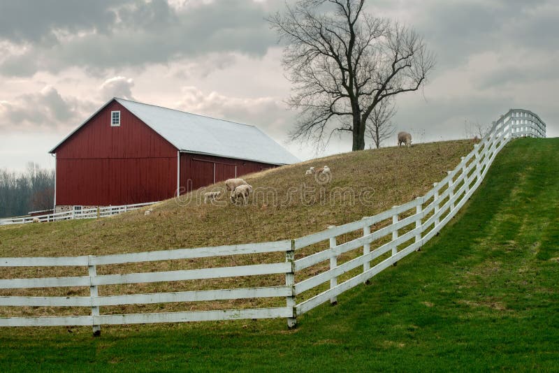 Old Wisconsin Dairy Farm, Sheep