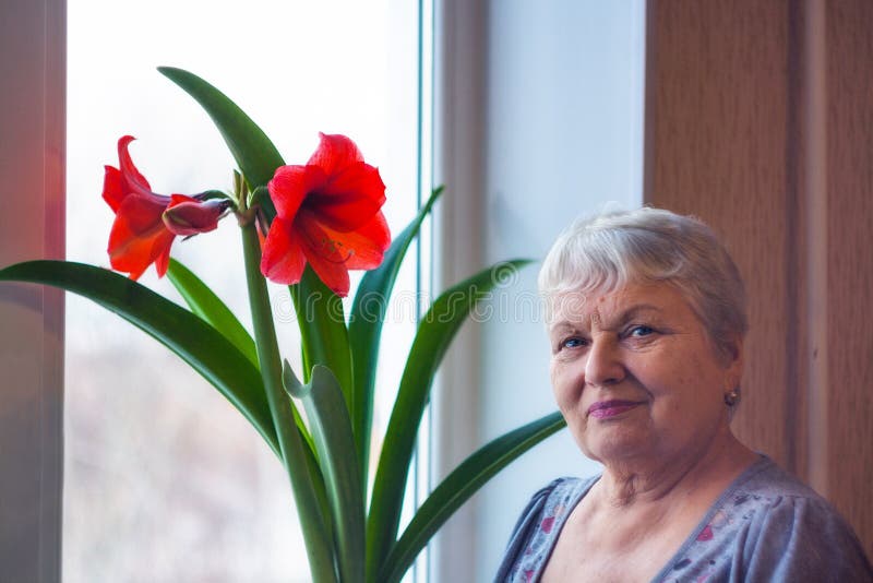Old woman and flower stock photo. Image of pensioner 104854532