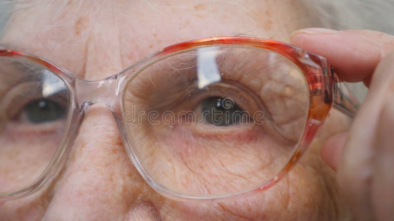 Granny Glasses Stock Footage And Videos 813 Stock Videos