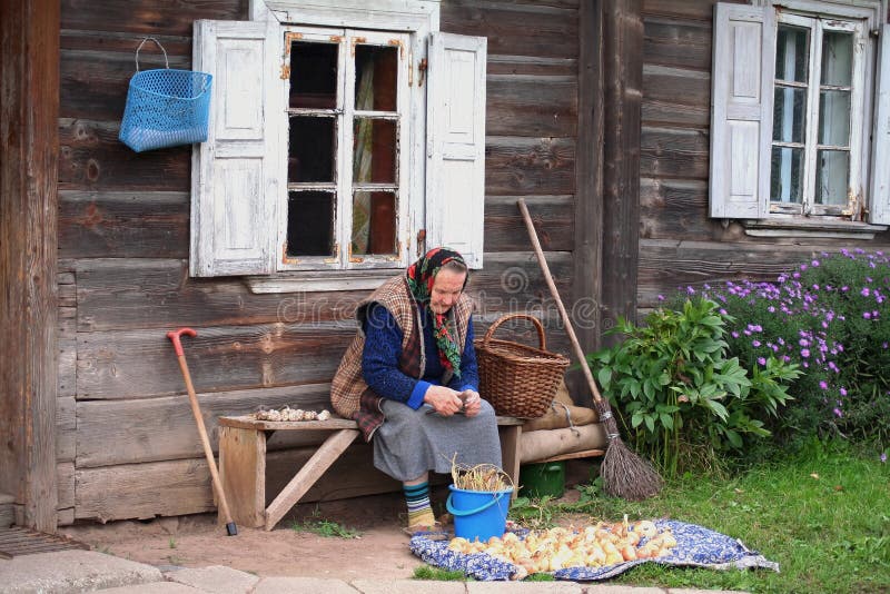 Stará žena pripravuje fazuľa, cibuľa a garlics na zimu v litovskom vidieku.