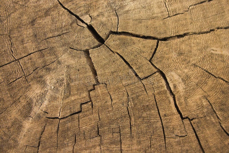 Old Wood