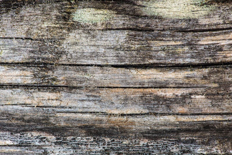 Old wood background