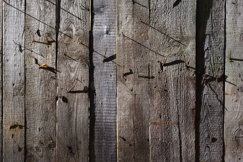 Old Wood Background. Shabby Wooden Wall with Rusty Nails Texture Stock
