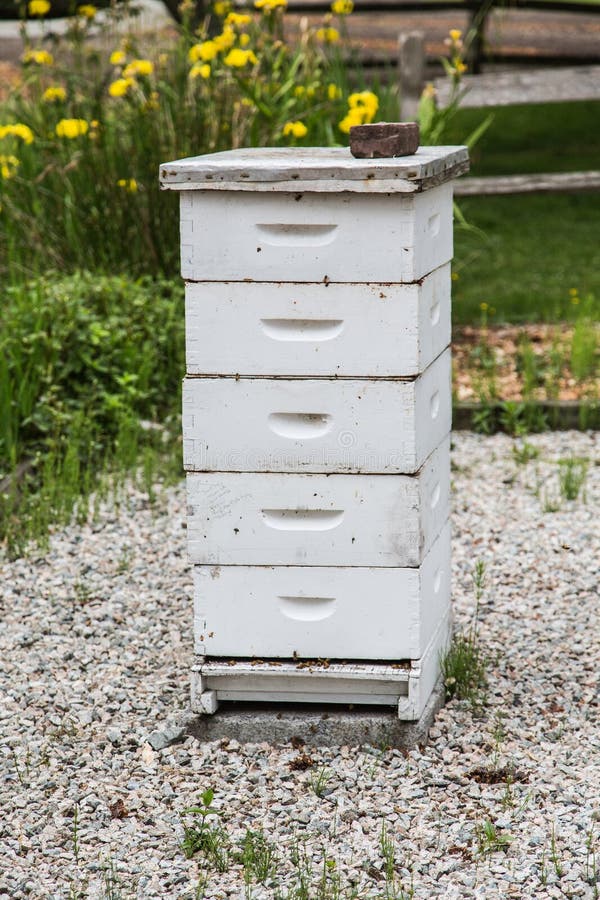 Old Wood Bee Hive stock image. Image of beehive, beekeeper 92179197
