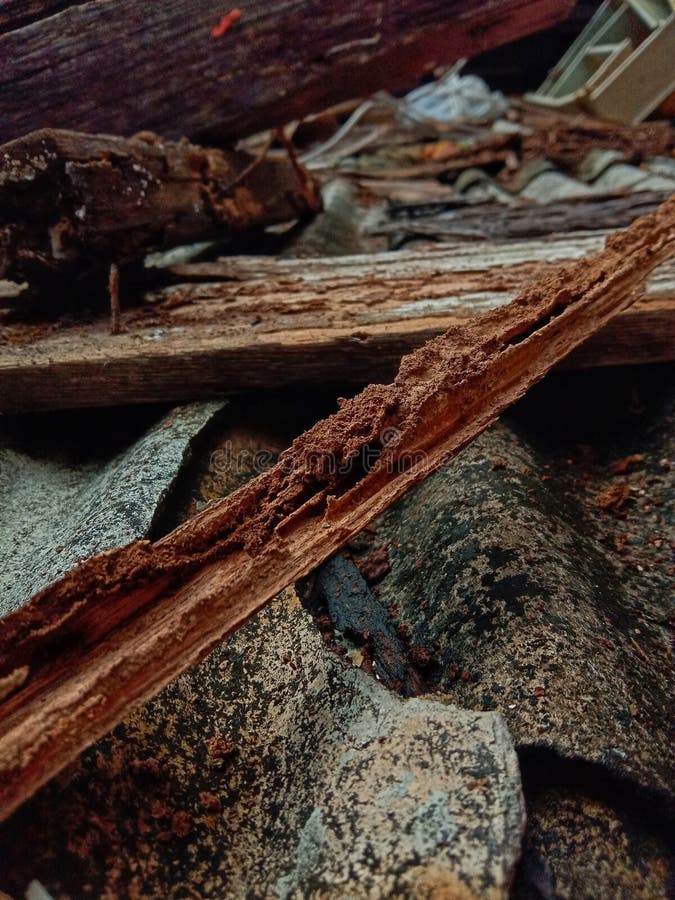 Old Wood that is Brittle from Being Eaten by Termites on Asbestos Tiles