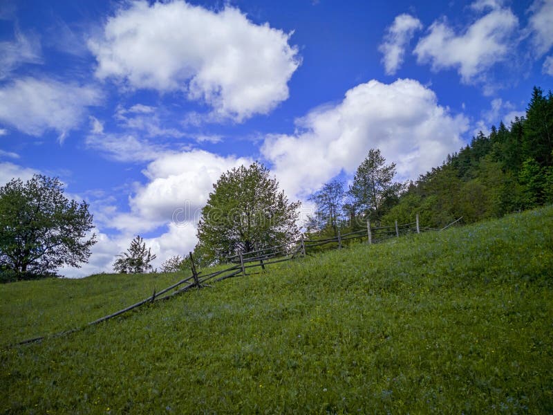 Old wood fence on the green hill