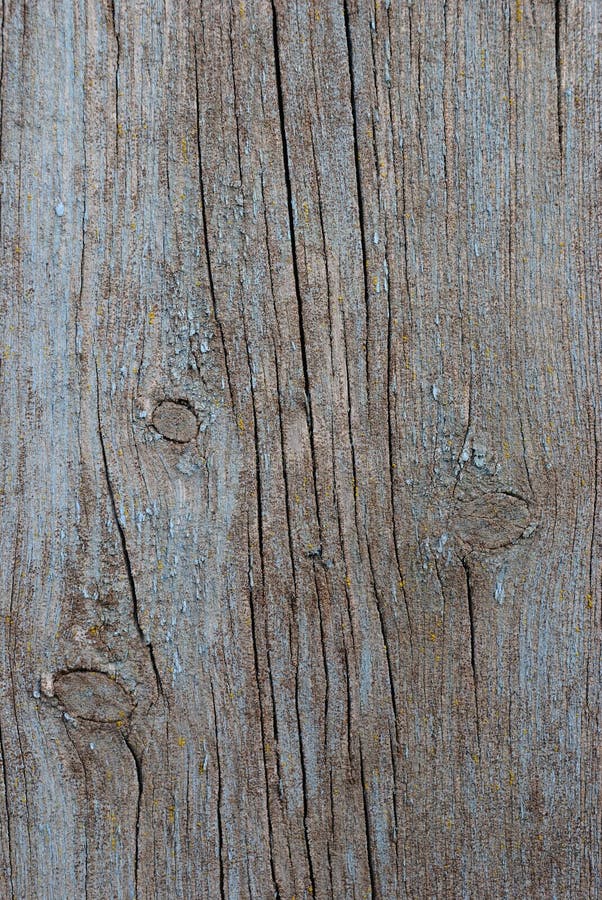 Old paint on surface of old wood plank. Roughness stock images, royalty-free photos and pictures