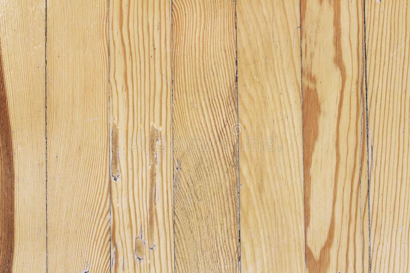 Old wood texture