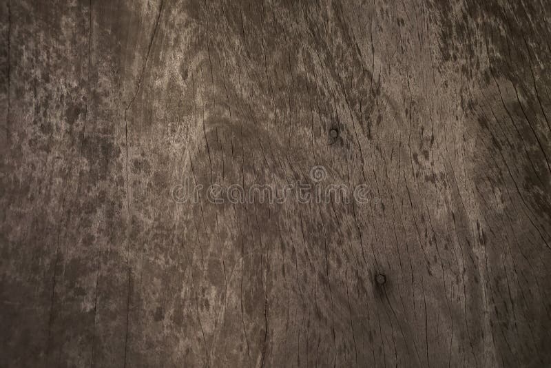 Old wood texture background and empty space for text .