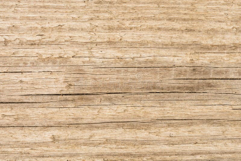Old wood texture background, structure of a natural untreated wooden surface with peeling fibers and cracks stock photography