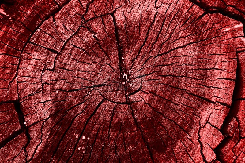 Old Wood Tree Rings Texture. Red background. Red tinted cut of a tree. Toned tree rings