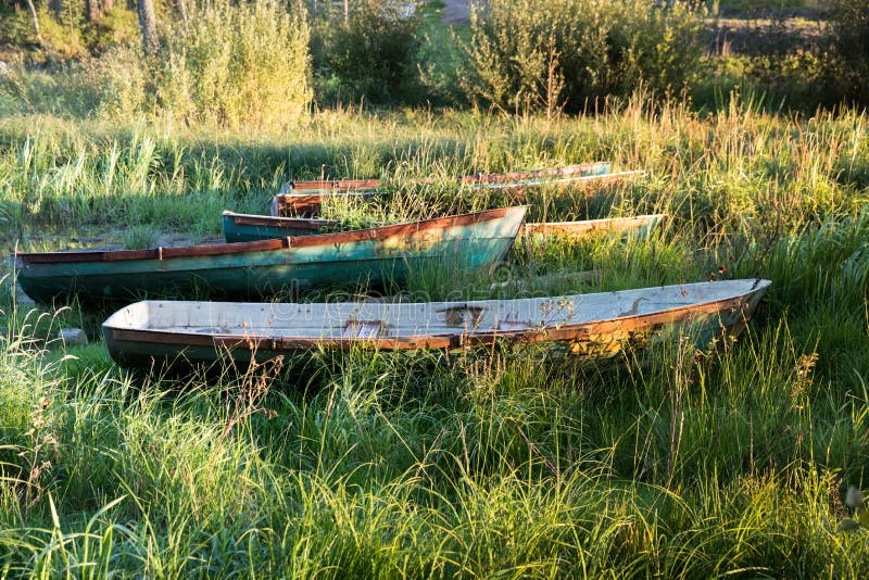 Old Wooden Boats on an Overgrown Shore with Grass. at Sunset Stock ...